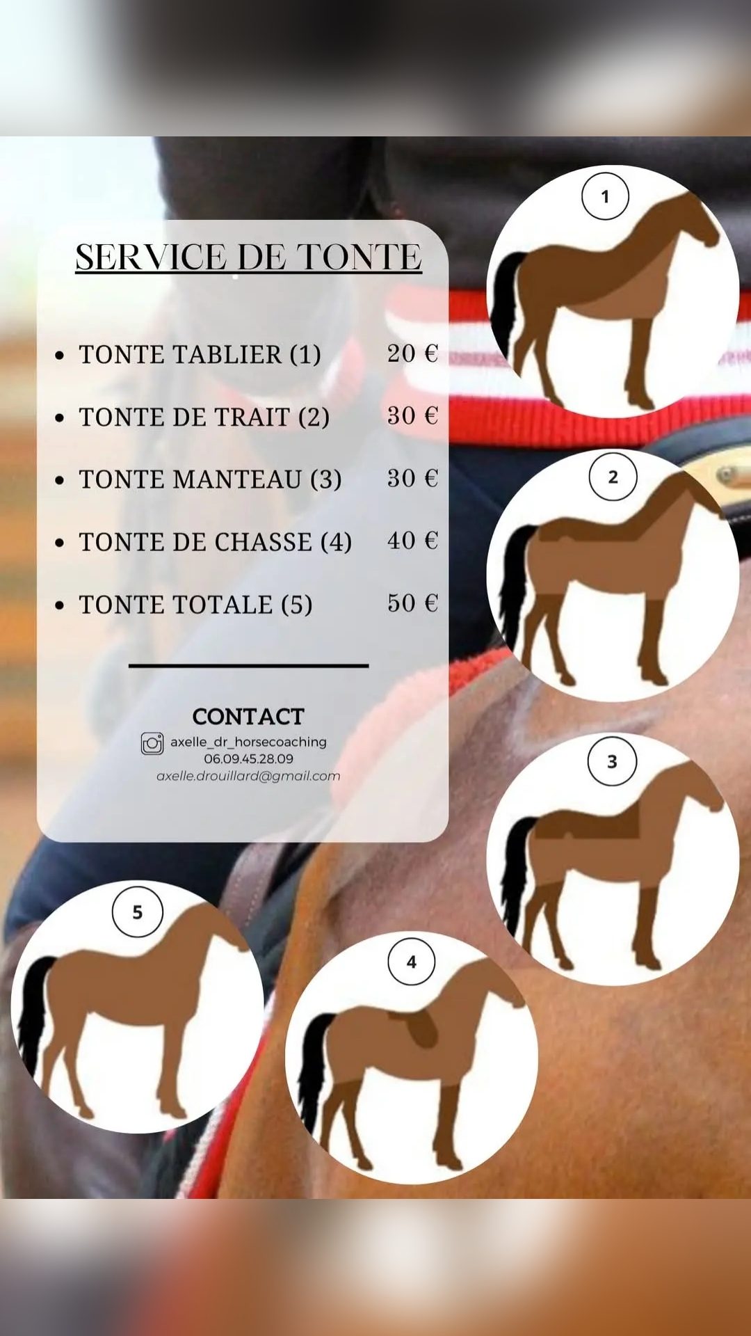 Enseignement, travail du cheval et tonte, média 4