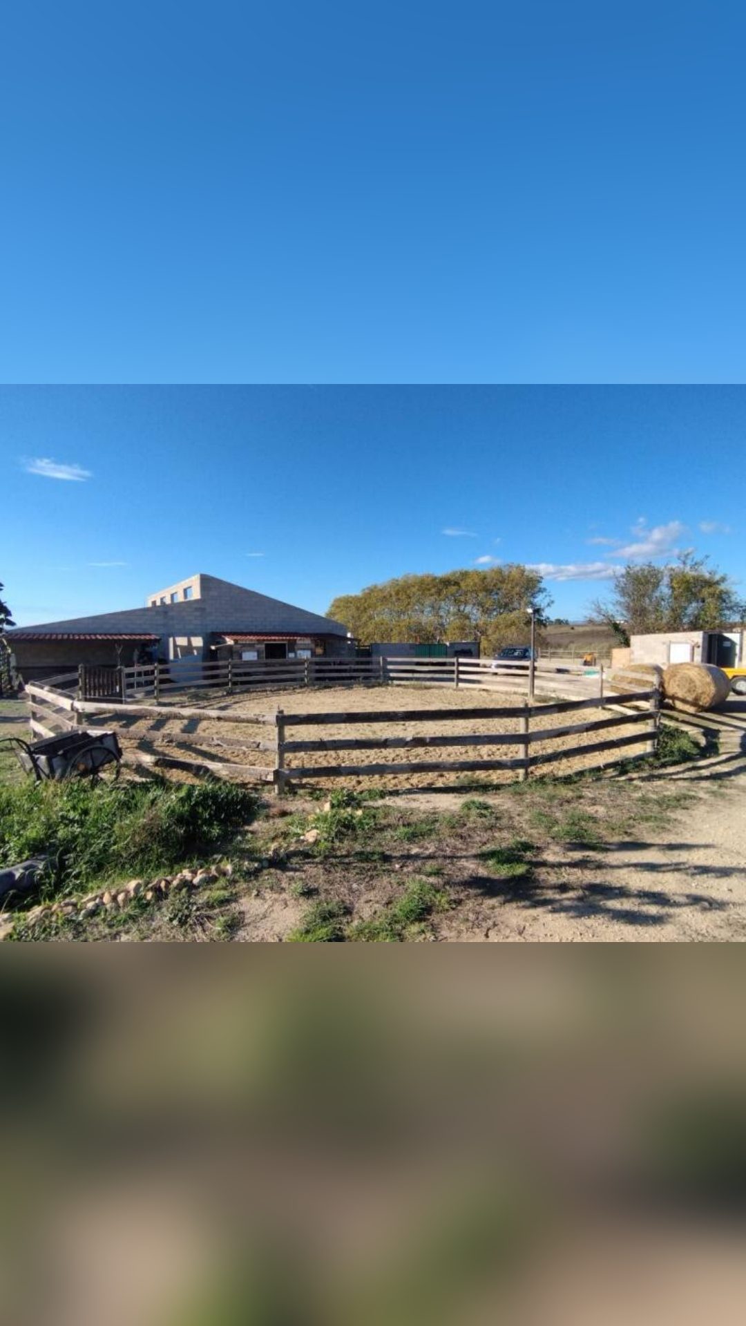 Pension familiale chevaux poneys ânes, média 4