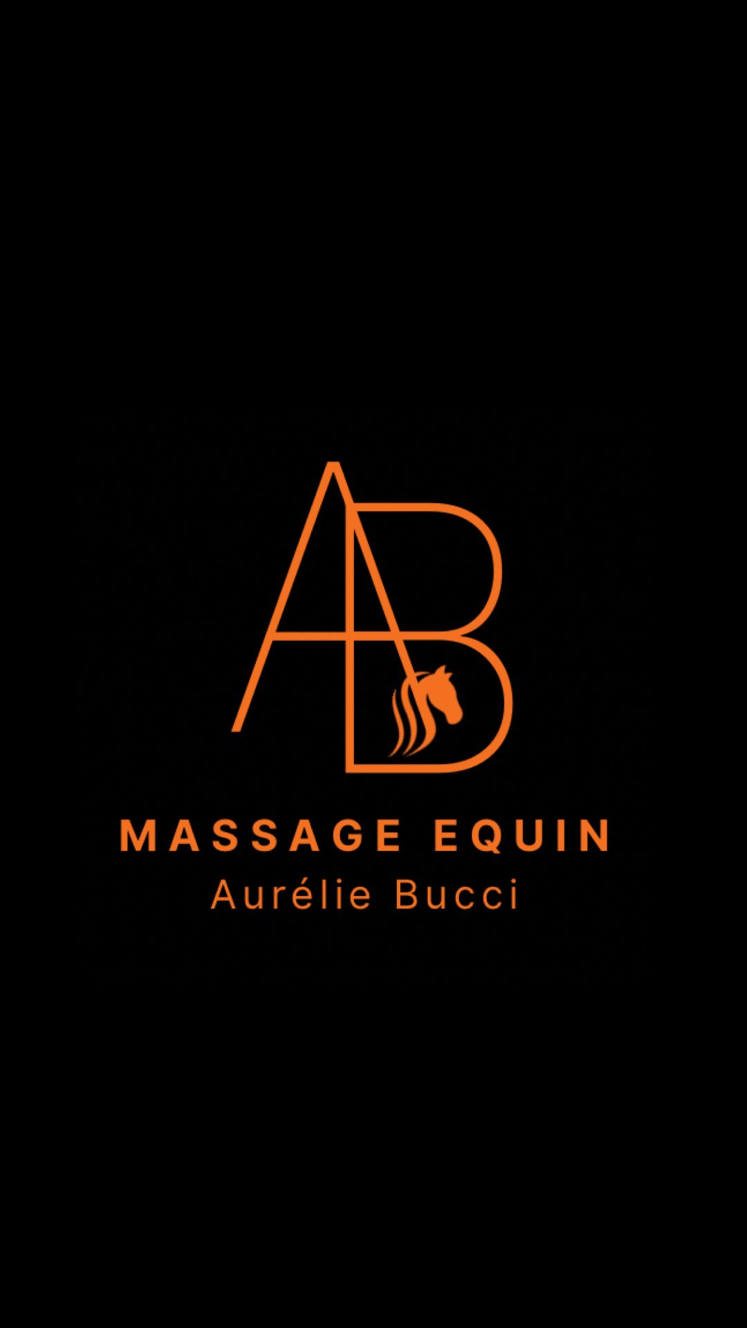 Masseuse Equin formée & certifiée, média 2