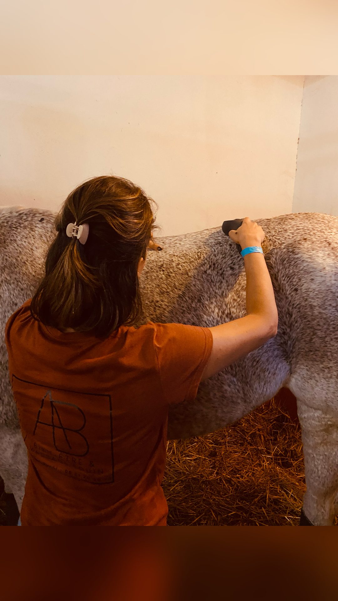 Masseuse Equin formée & certifiée, média 4