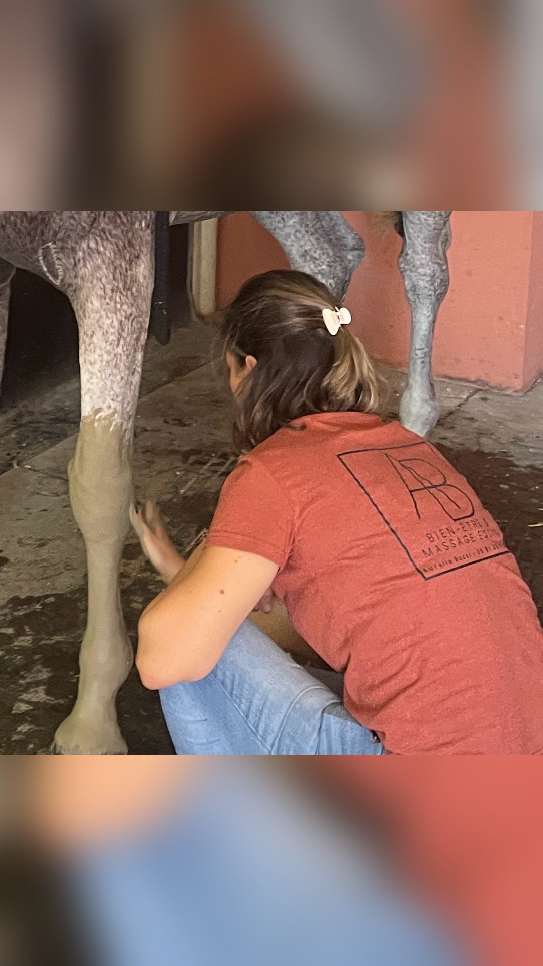 Masseuse Equin formée & certifiée, média 5