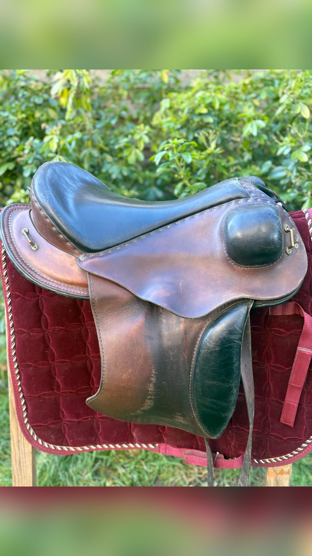 Selle Hugues Petel, média 2