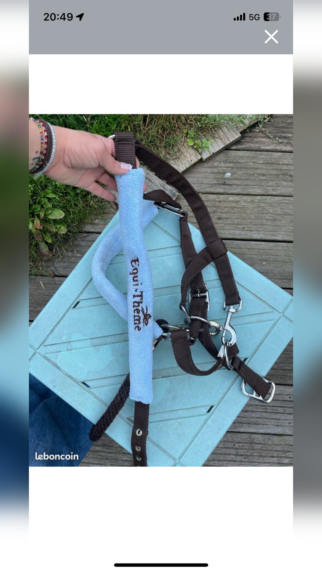 Licol moumoute bleu clair Equiteme taille cheval, média 2