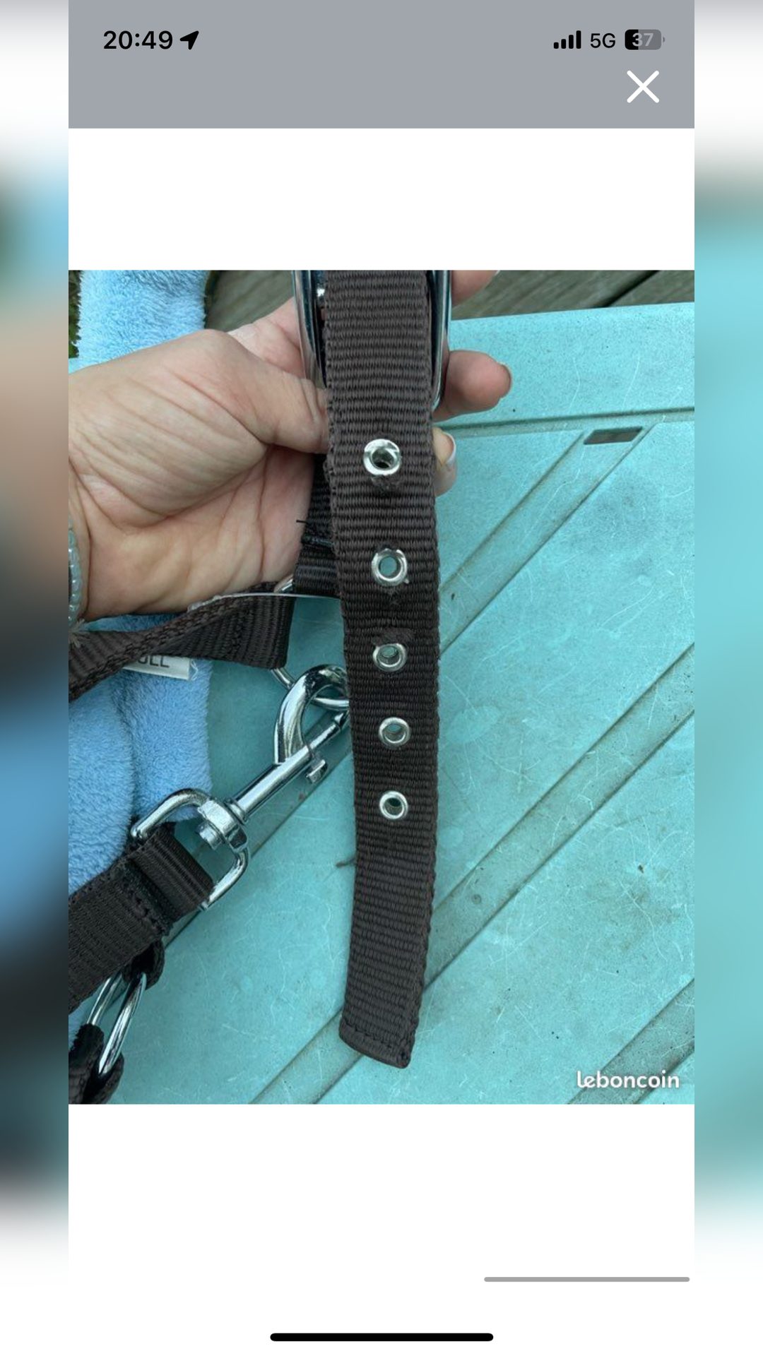 Licol moumoute bleu clair Equiteme taille cheval, média 3