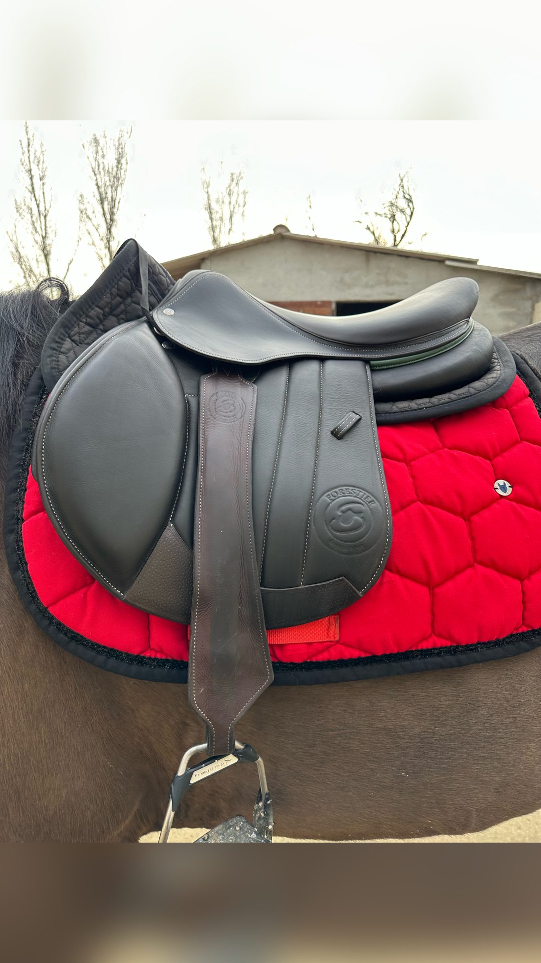 Selle Forestier, média 4