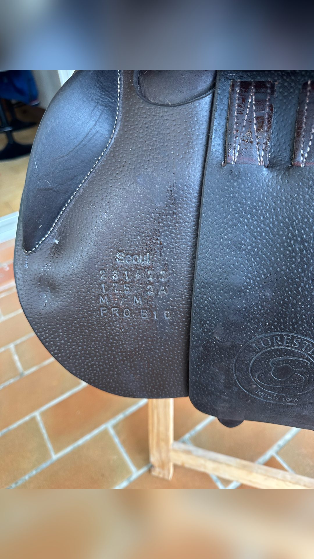 Selle Forestier, média 3