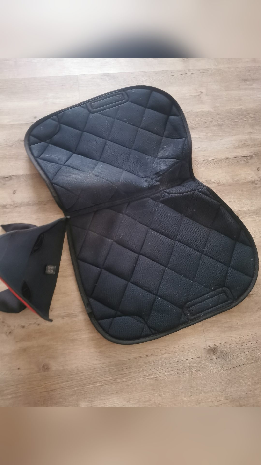 Tapis + bonnet Horse Pilot anti transpirant, média 2