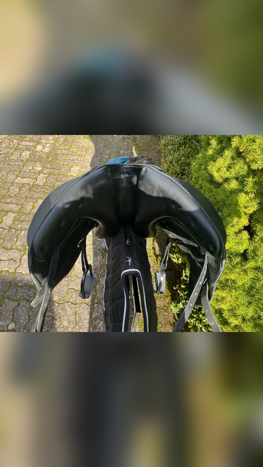 Selle de dressage Prestige Passion K, média 2