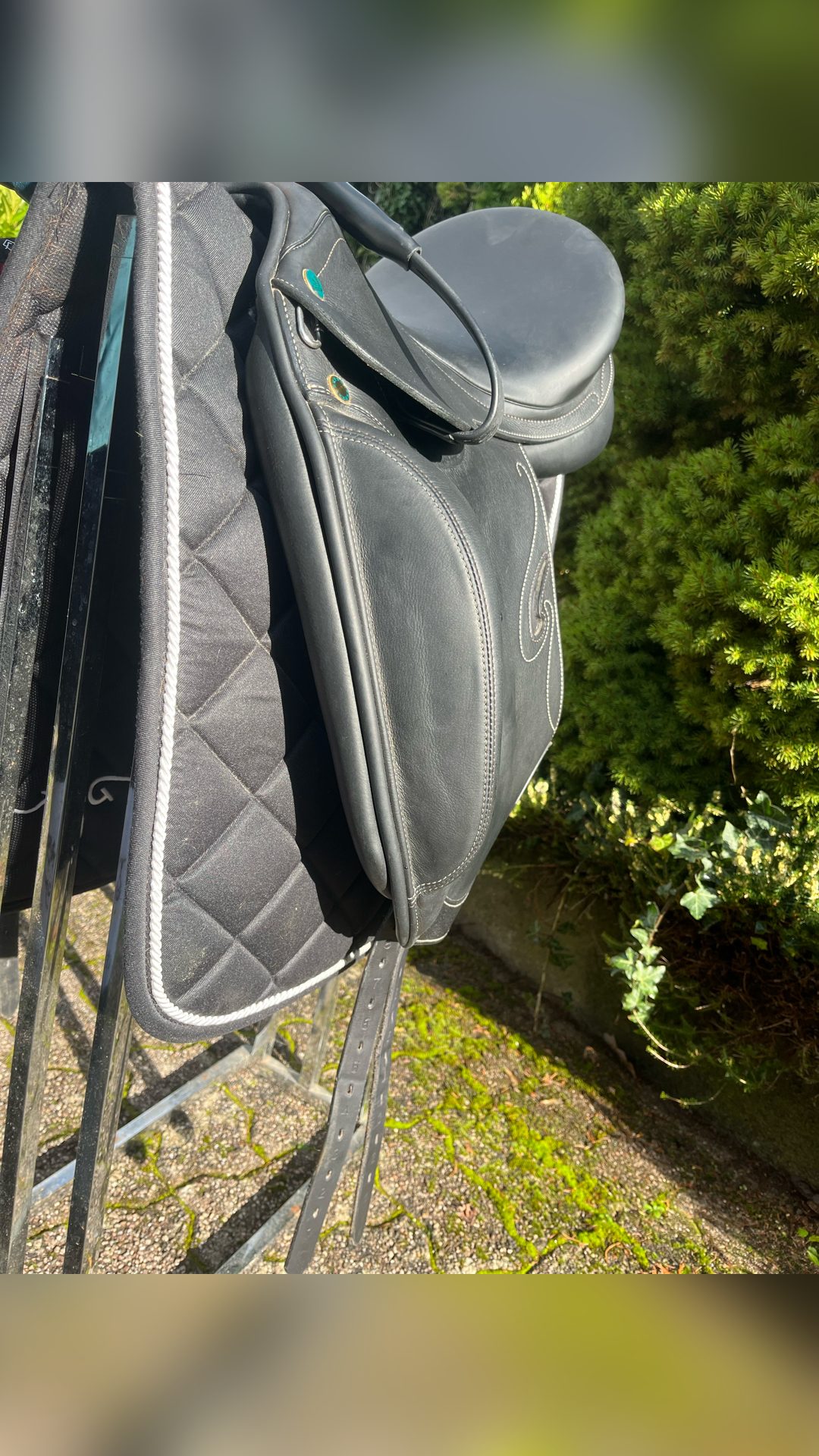 Selle de dressage Prestige Passion K, média 3