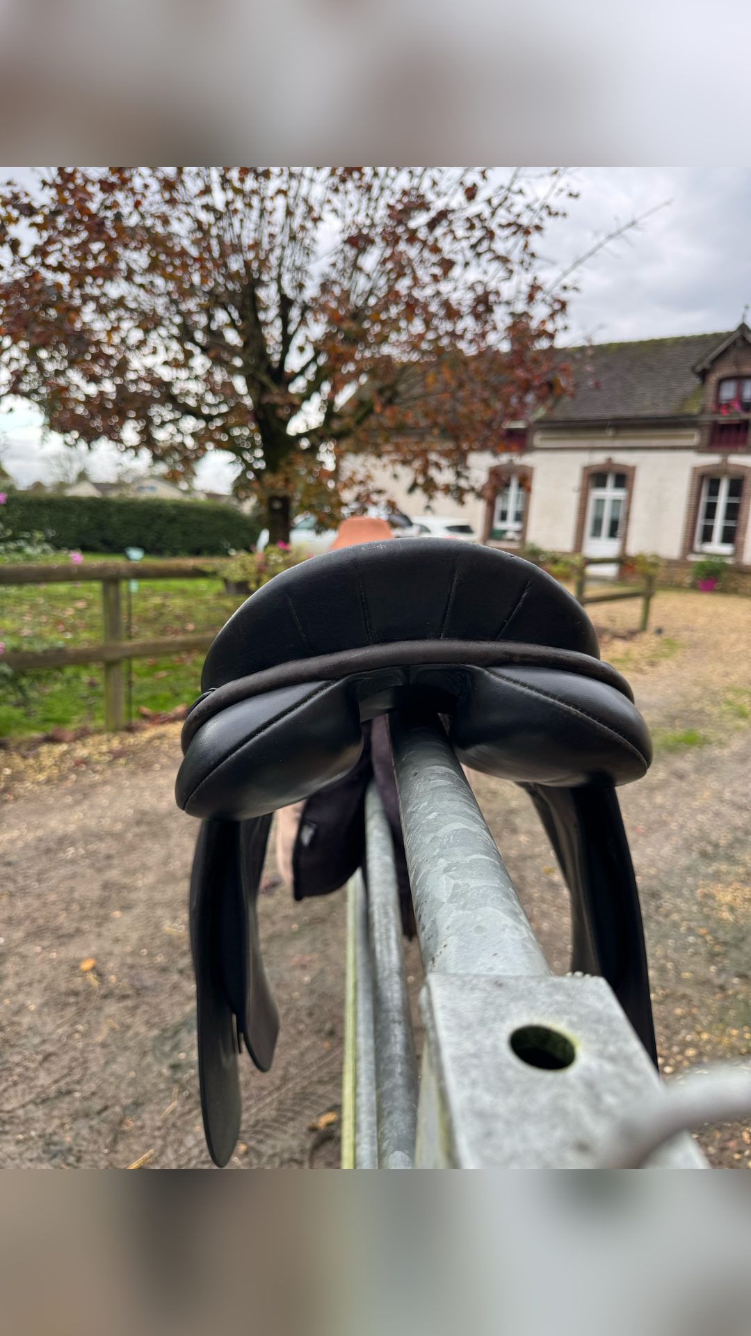 Selle mixte Farrington’s 16,5 pouces, média 3
