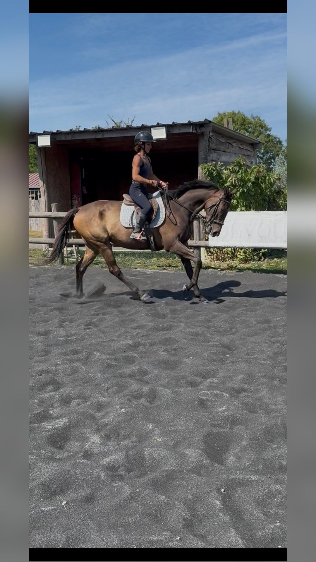 KENSTILL, média 9