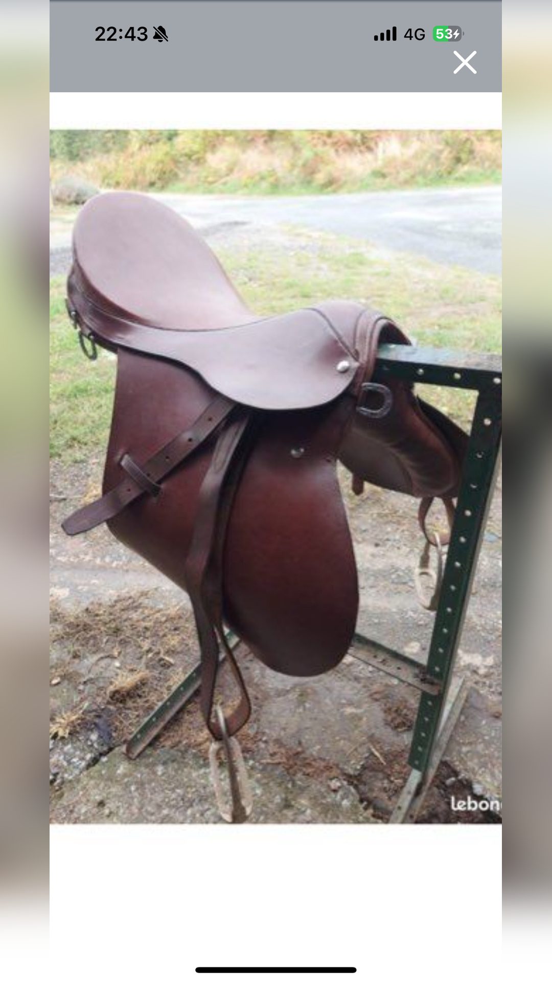 Selle poney, média 2