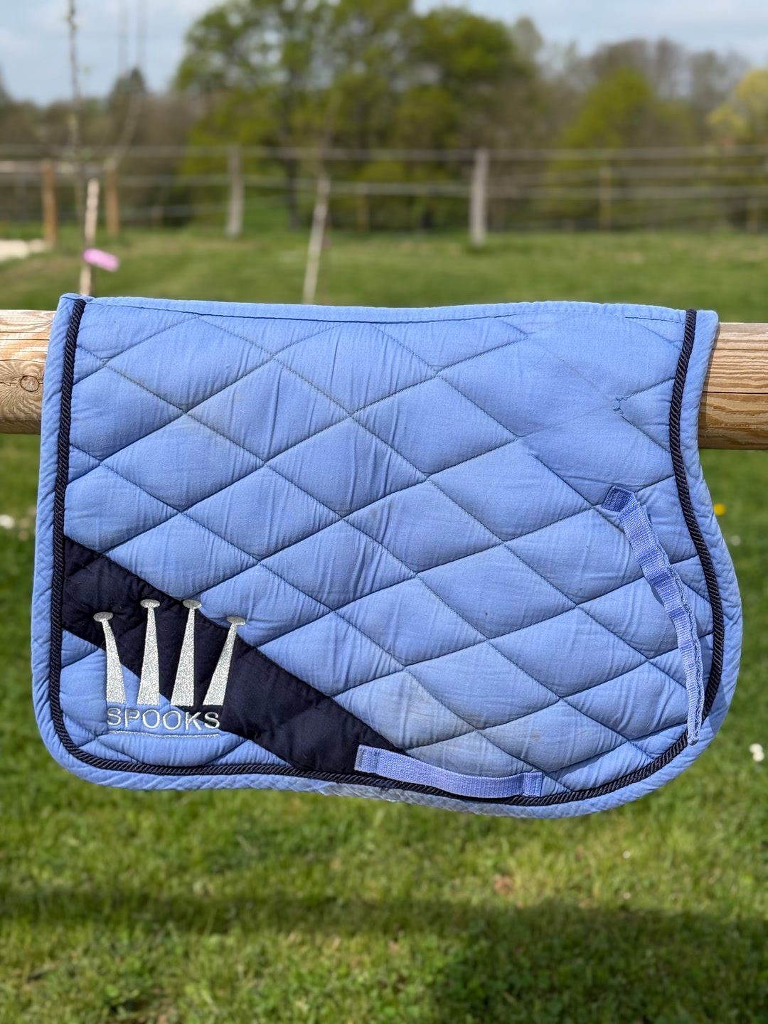 Tapis cheval Spooks bleu ciel très bon état, média 2