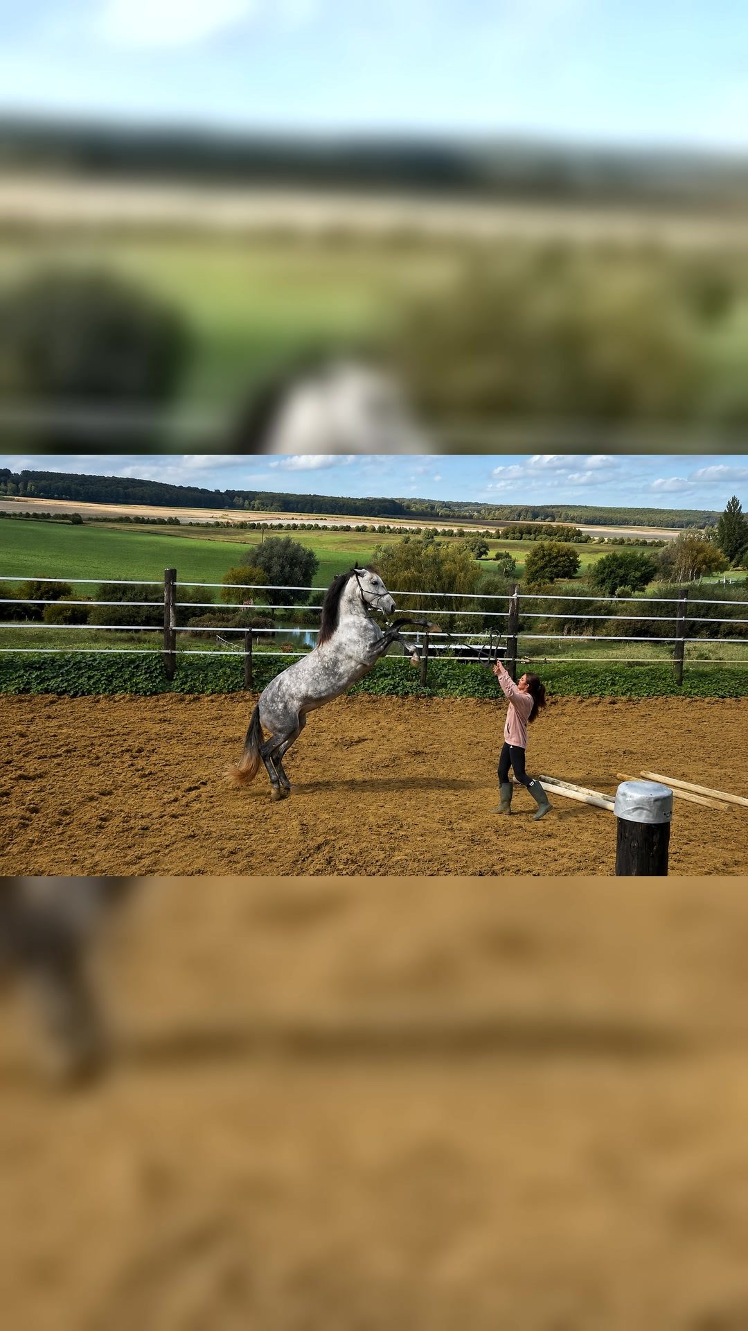 Cours- travaille jeune cheval-debourage- coaching concours-valorosation, média 2