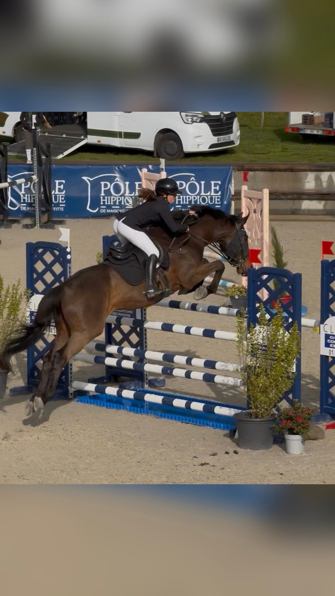 Cours- travaille jeune cheval-debourage- coaching concours-valorosation, média 3