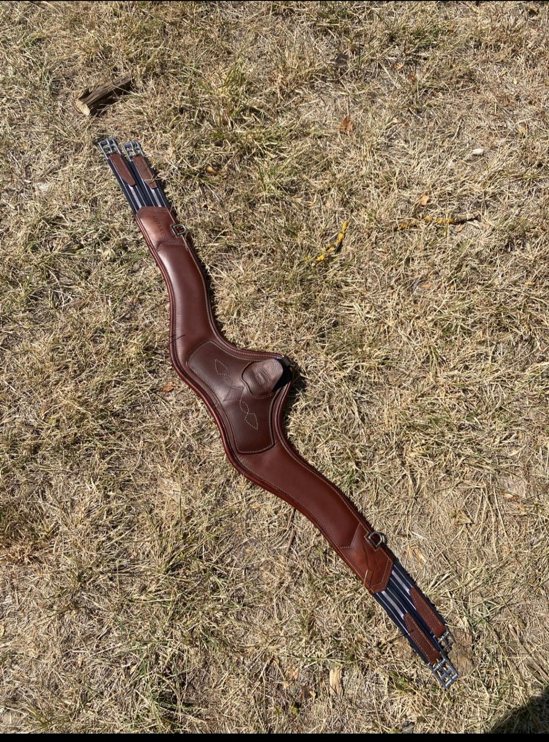 Sangle Antares taille 130, média 2