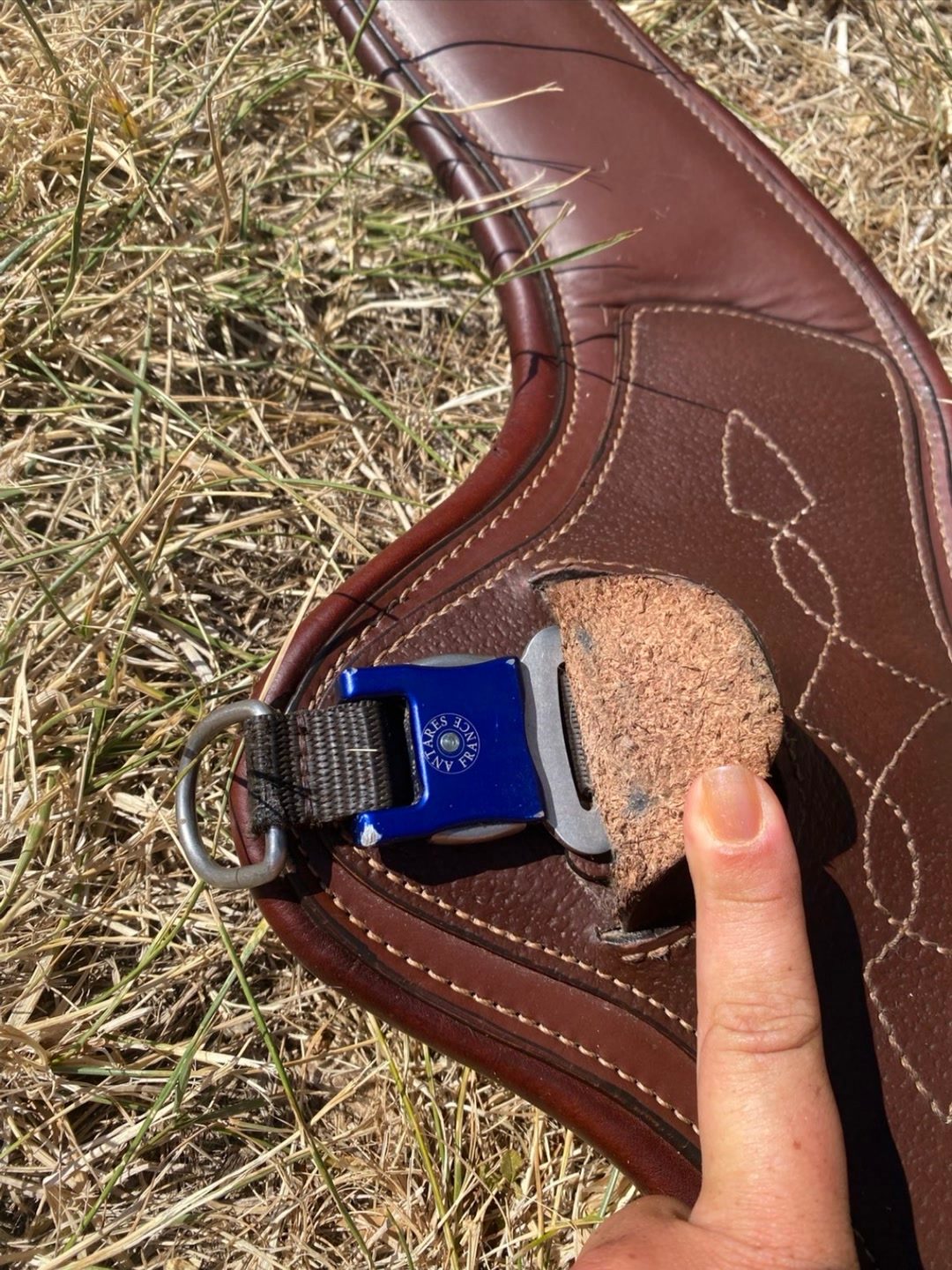 Sangle Antares taille 130, média 4