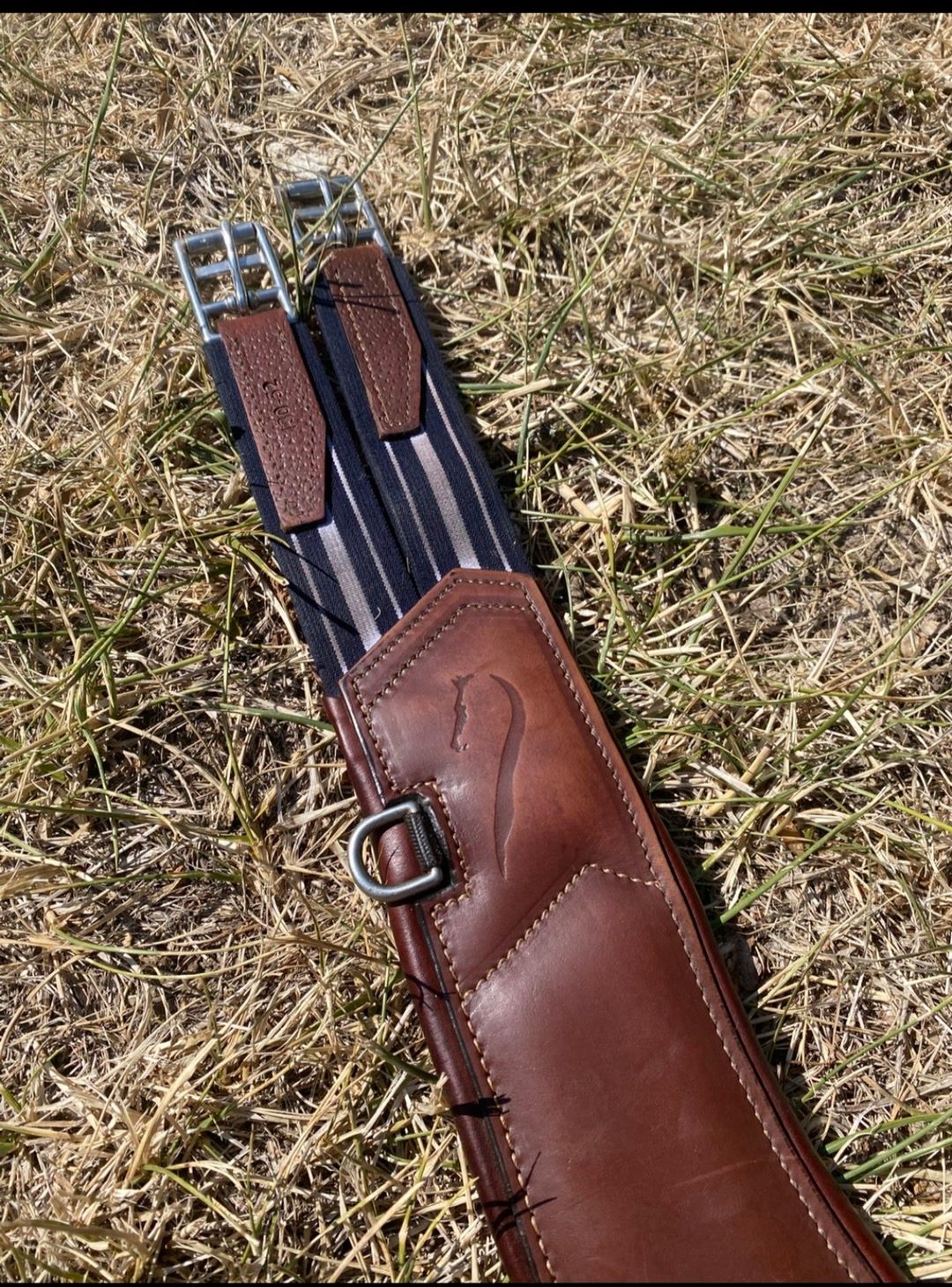 Sangle Antares taille 130, média 6