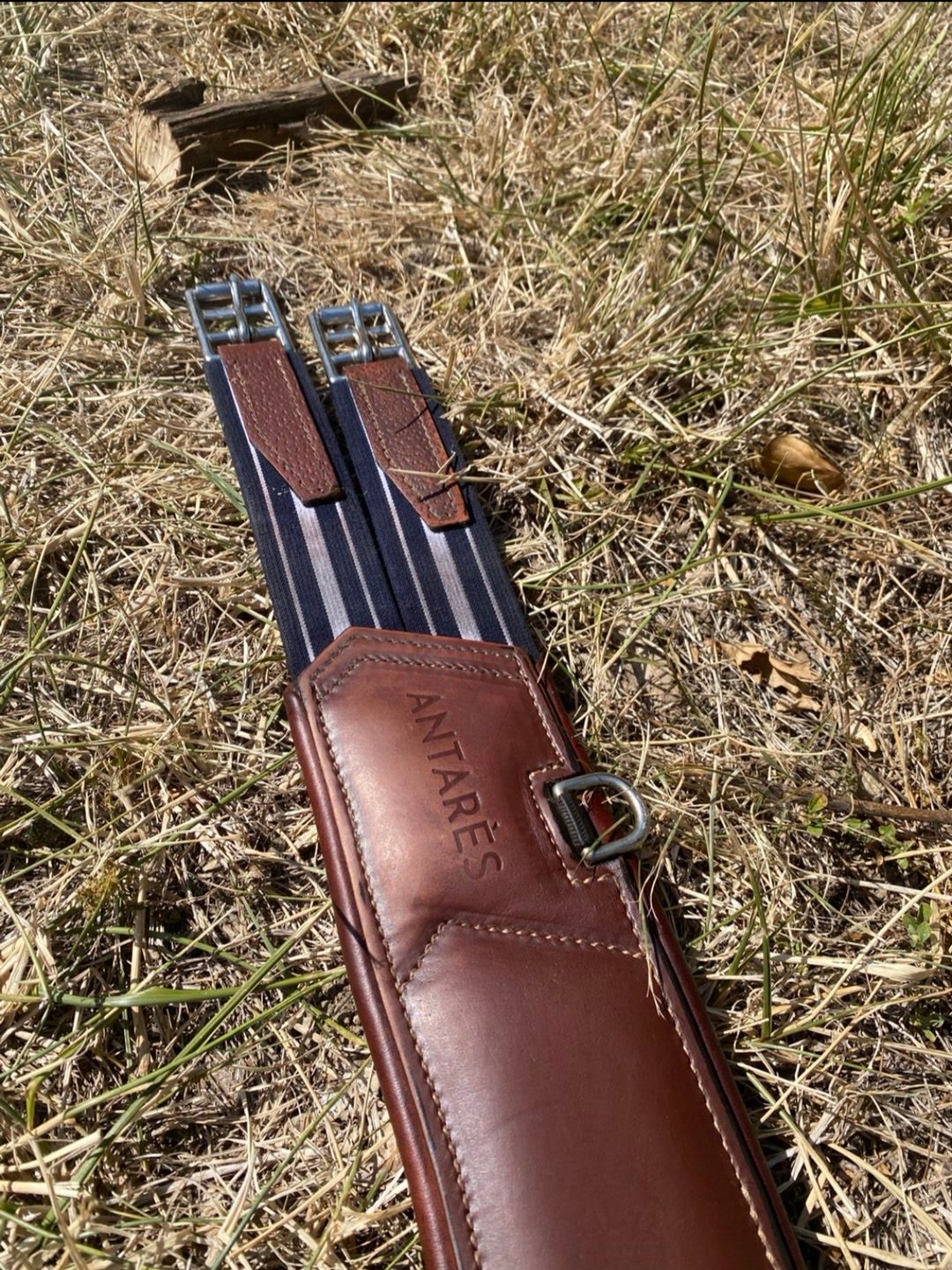 Sangle Antares taille 130, média 3