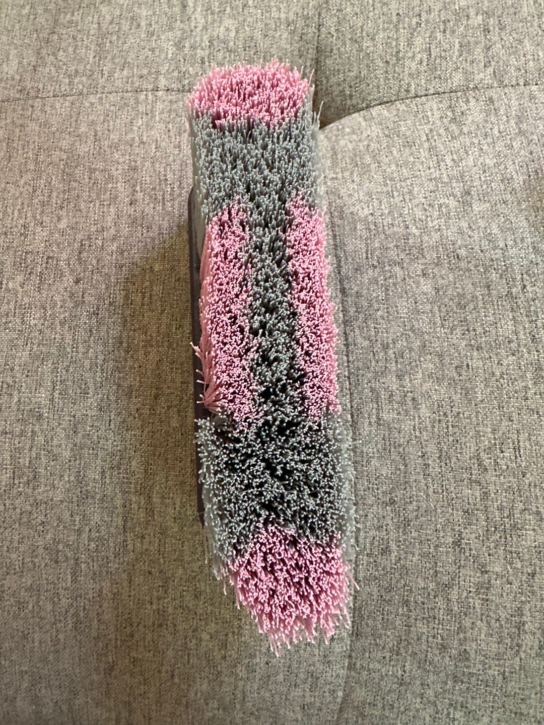 Brosse équitation, média 2