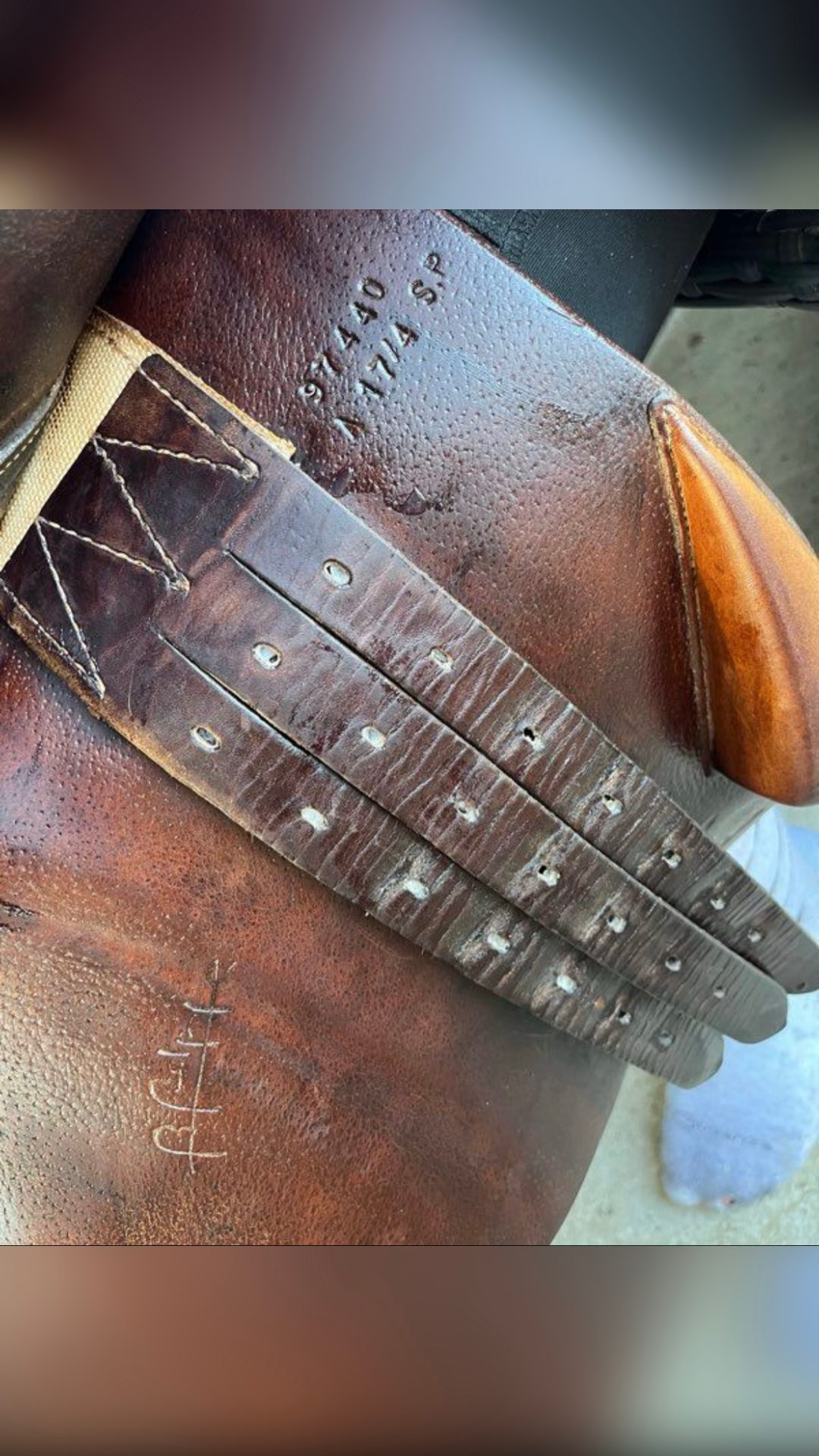 Selle Delgrange, média 4