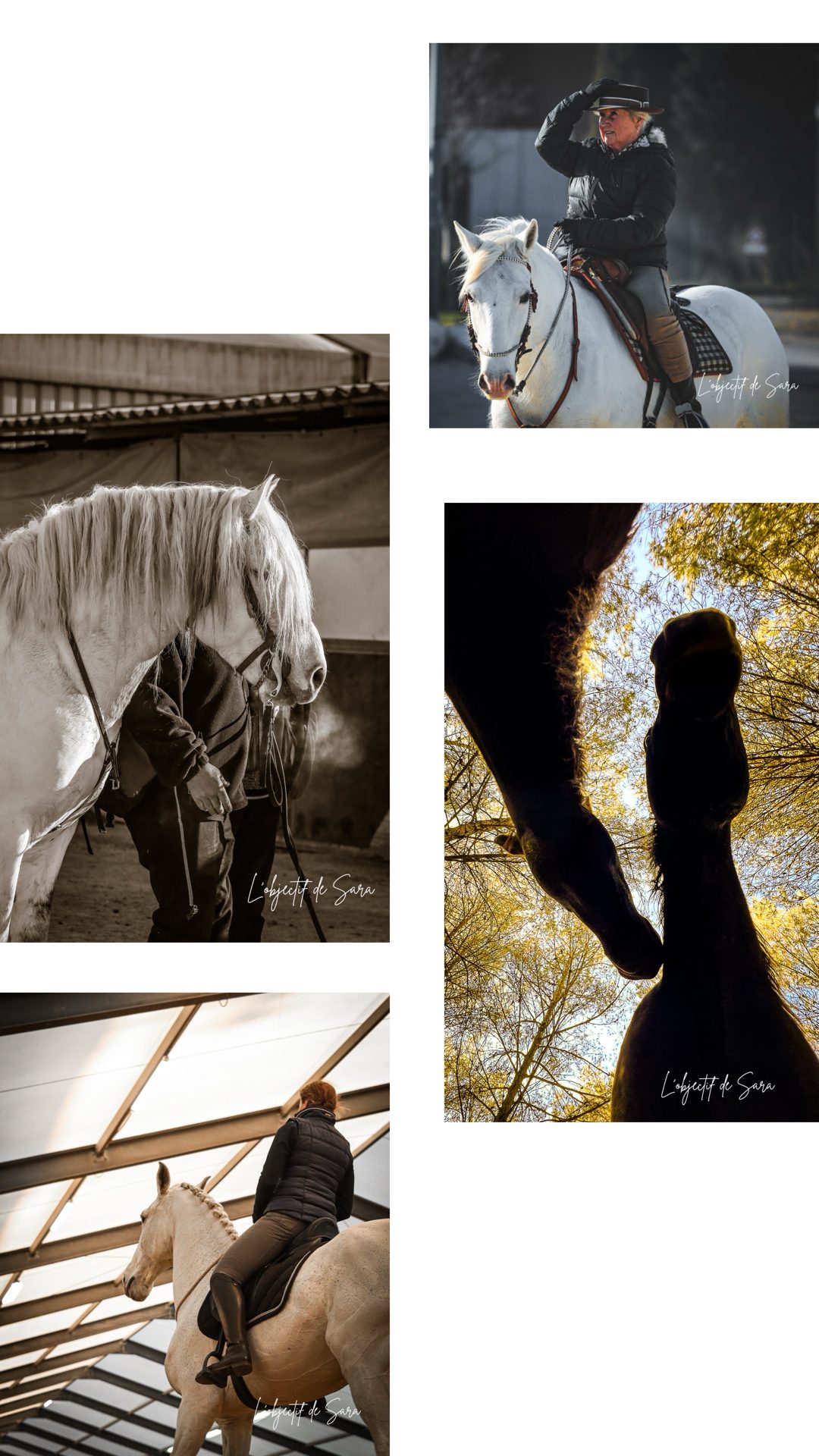 Shooting relation/action, média 2