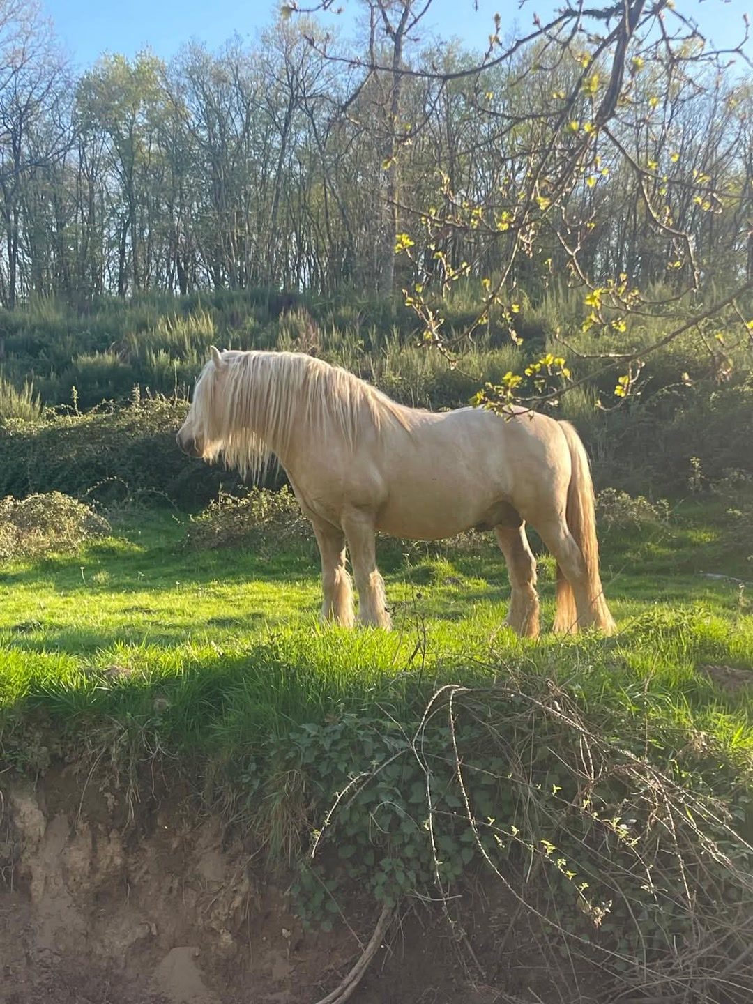 JOYAU DU VAL D'ANGUIENNE, média 5