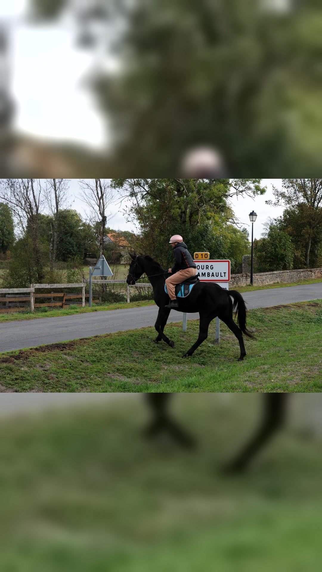 MIAMI LADY, média 6