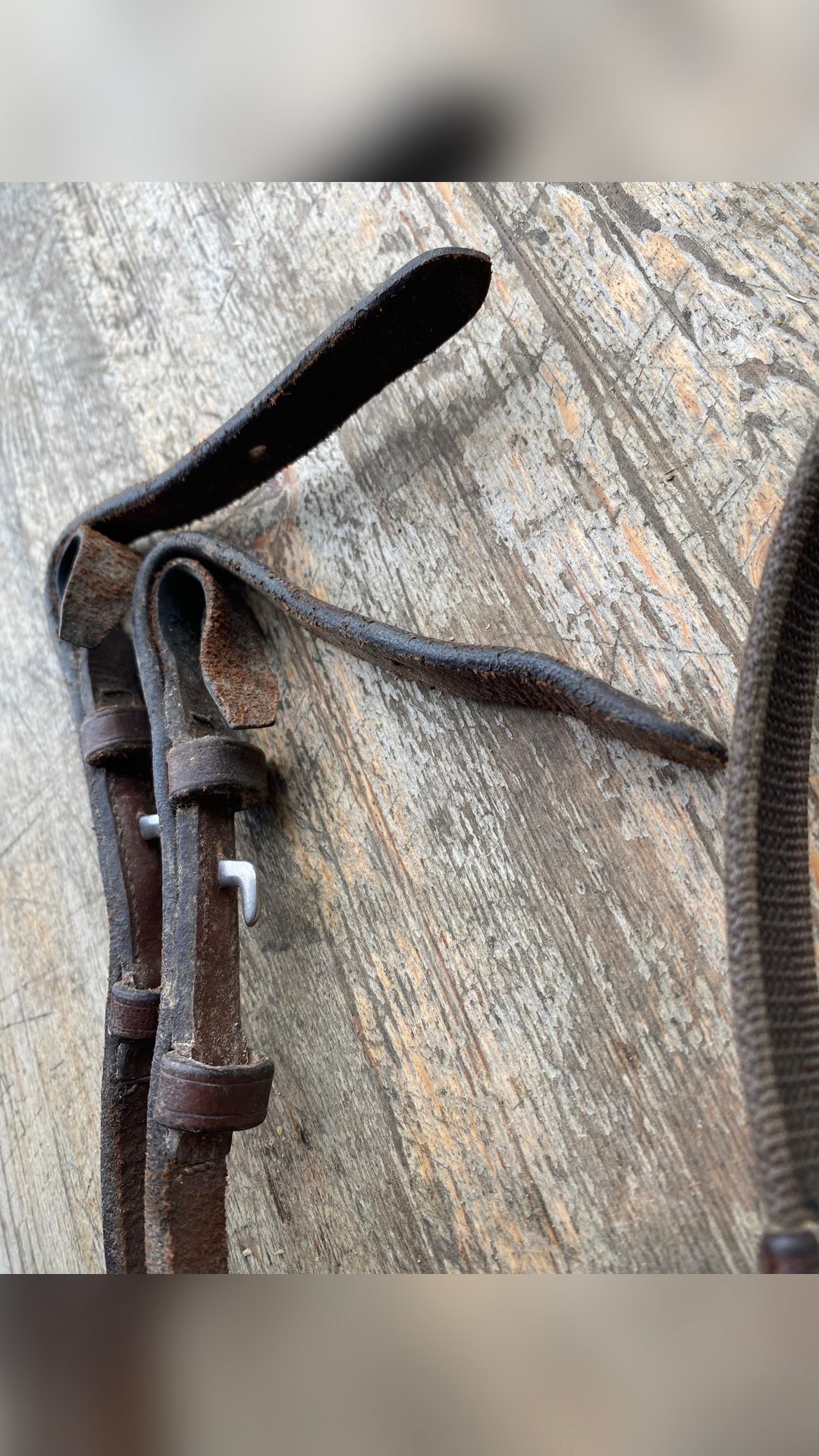Paire de rênes taille poney, média 2