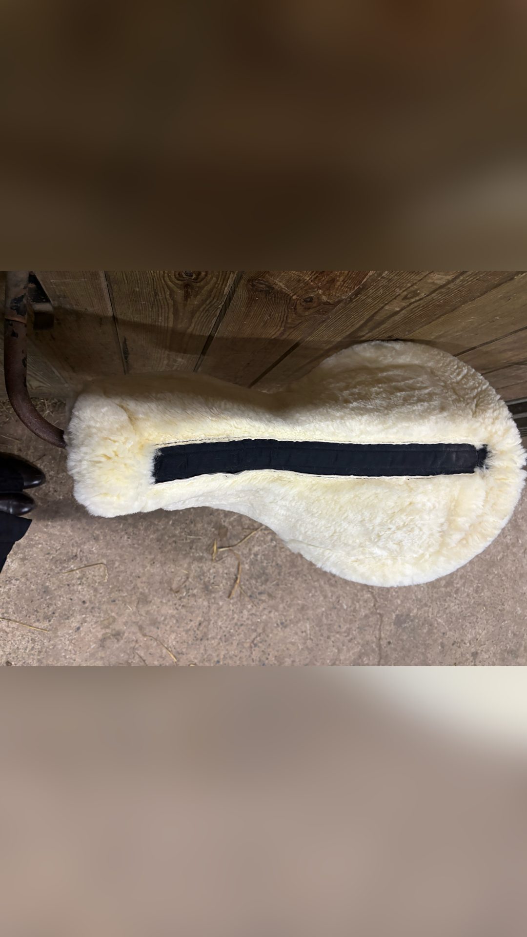 Amortisseur cheval, média 3
