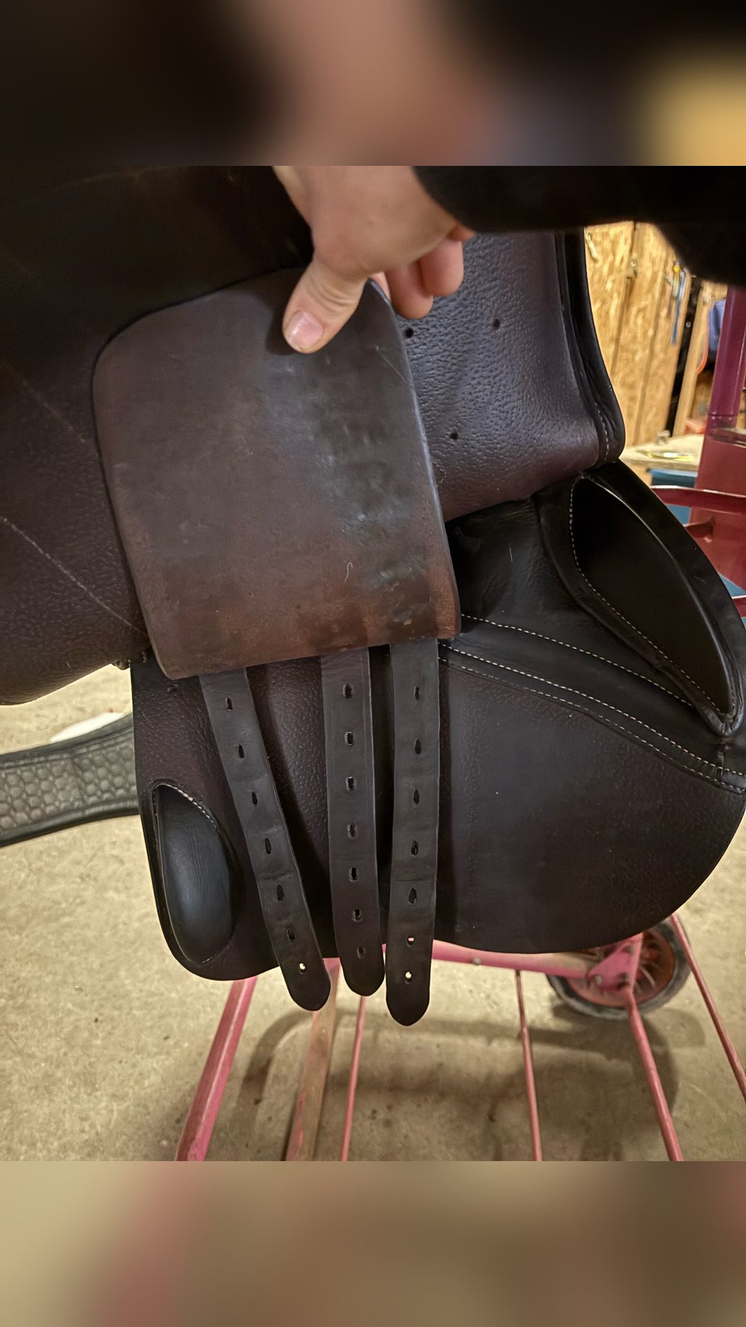 Selle Forestier, média 3