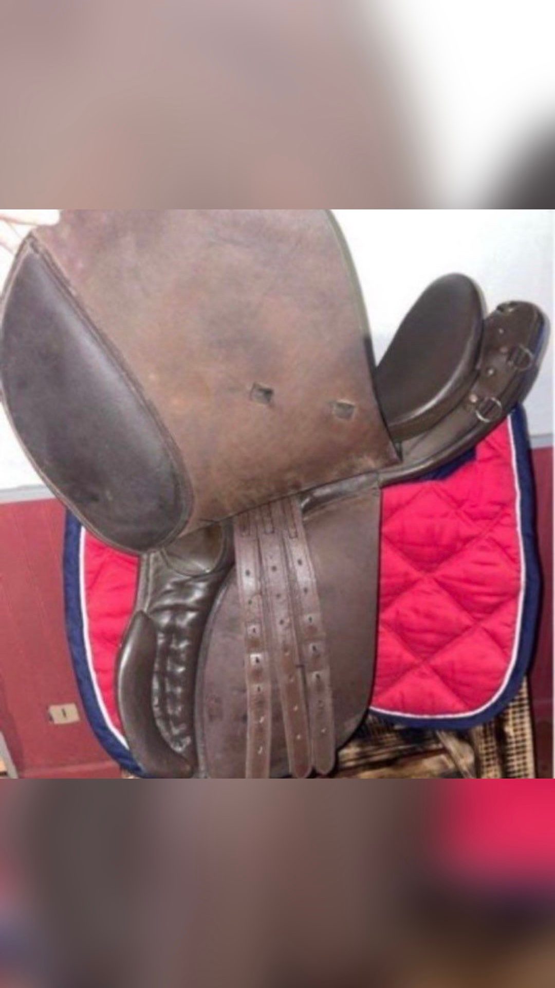 Selle Norton, média 2