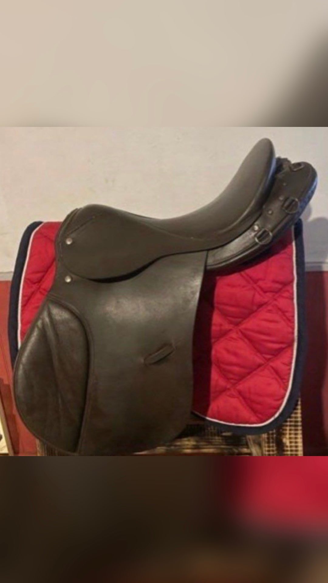 Selle Norton, média 4