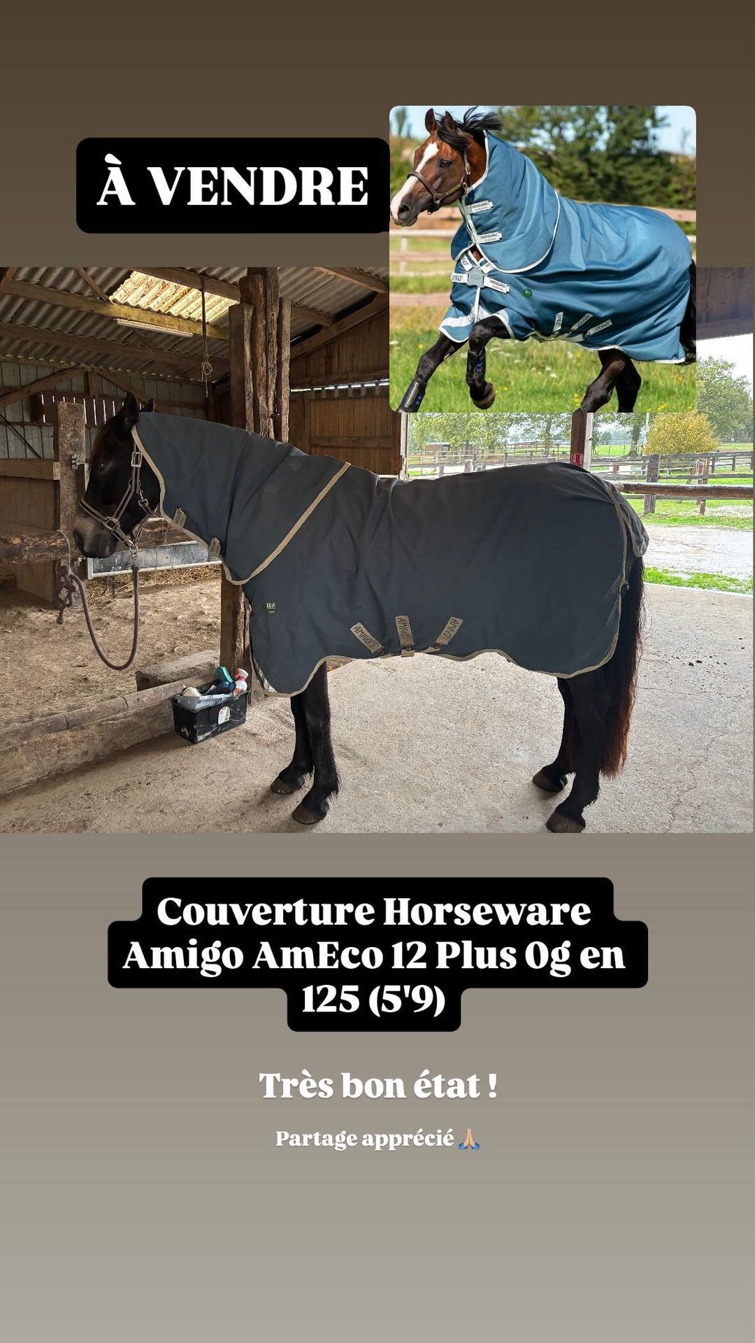 Couverture cheval Horseware Amigo AmEco 12 Plus avec couvre cou, média 2