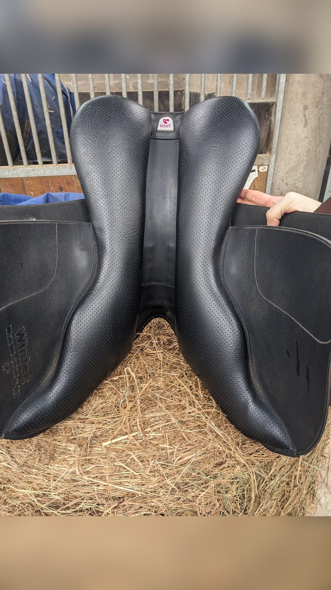 Selle Wintec Jump 500 Hart 17,5", média 2