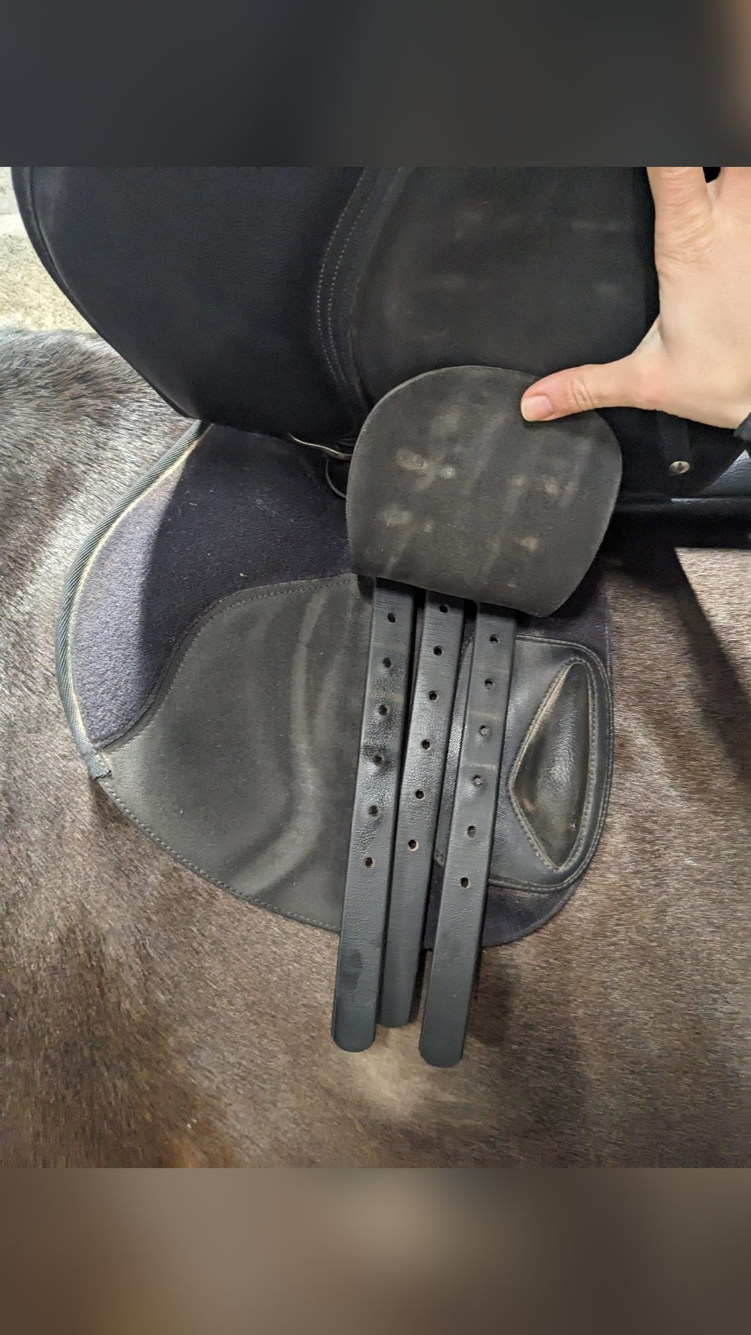 Selle Wintec Jump 500 Hart 17,5", média 4