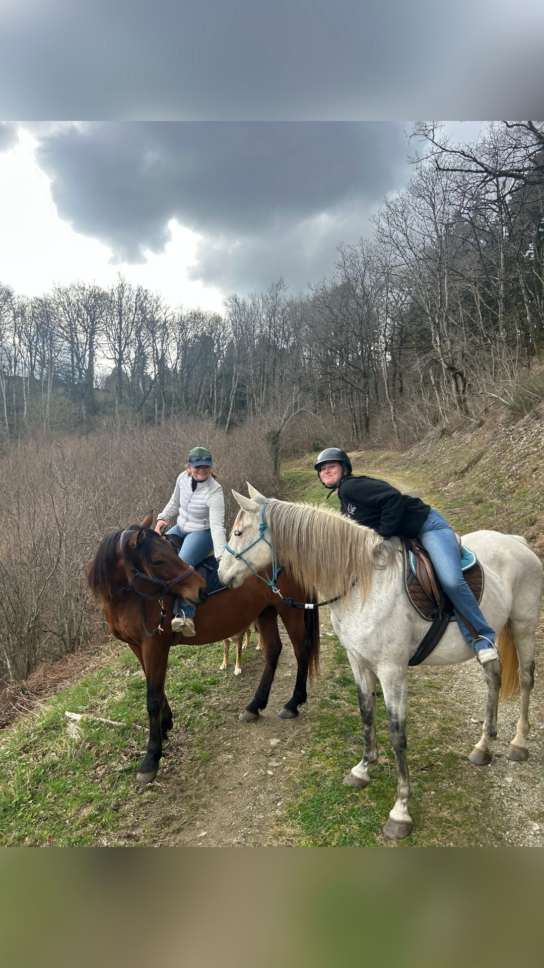 Balade à cheval, média 3