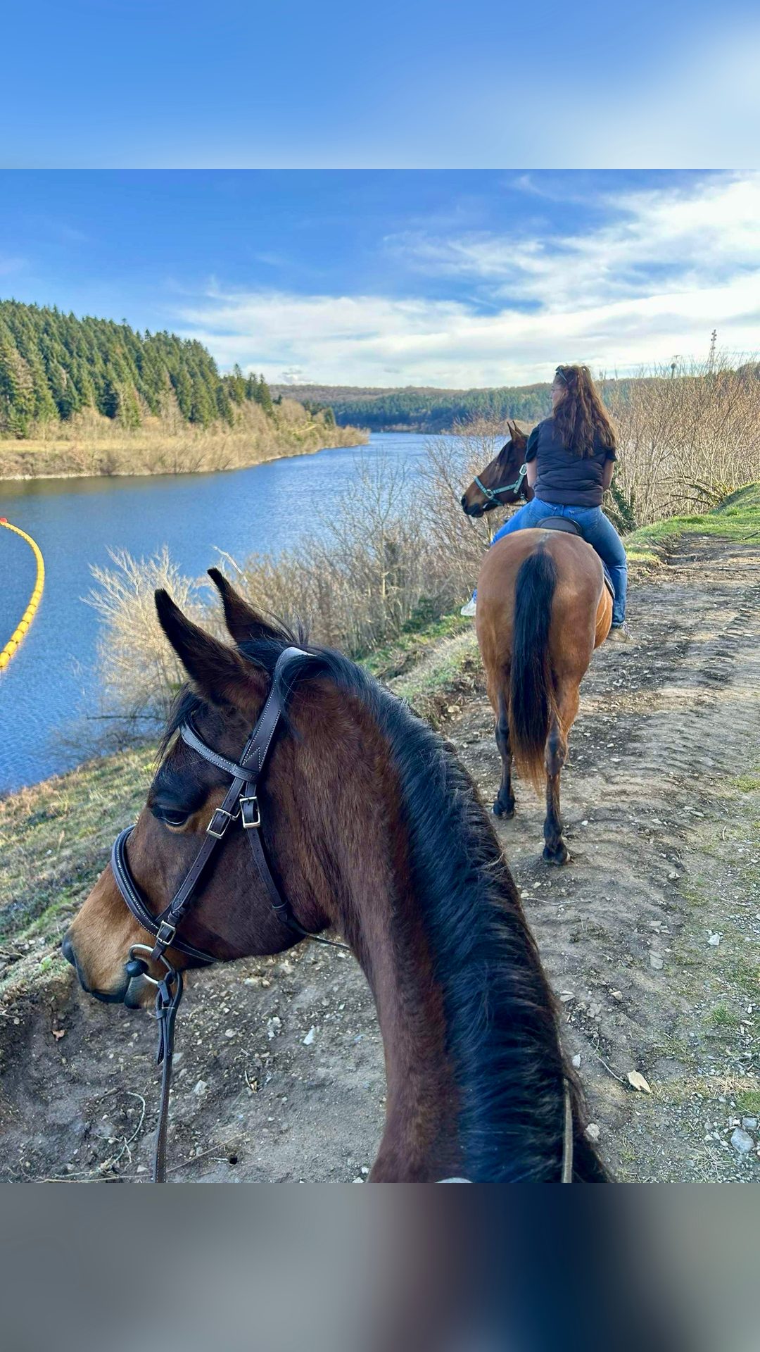 Balade à cheval, média 5