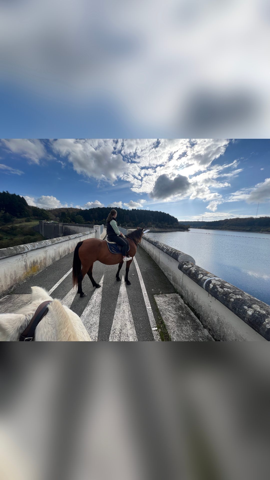Balade à cheval, média 6