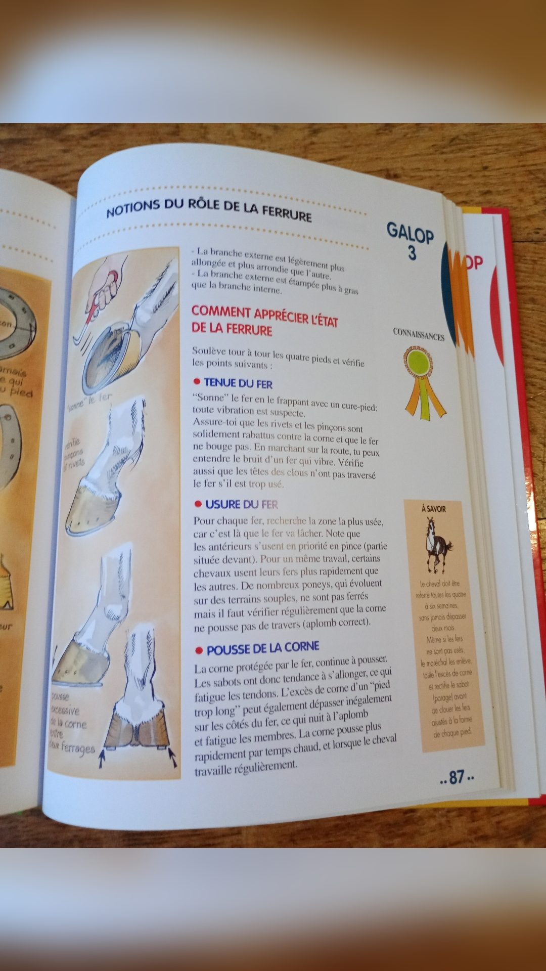 Livre passage des Galops de 1 à 4, média 3