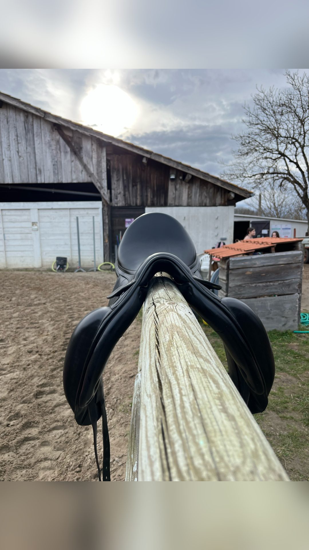 Selle dressage Équipe, média 2