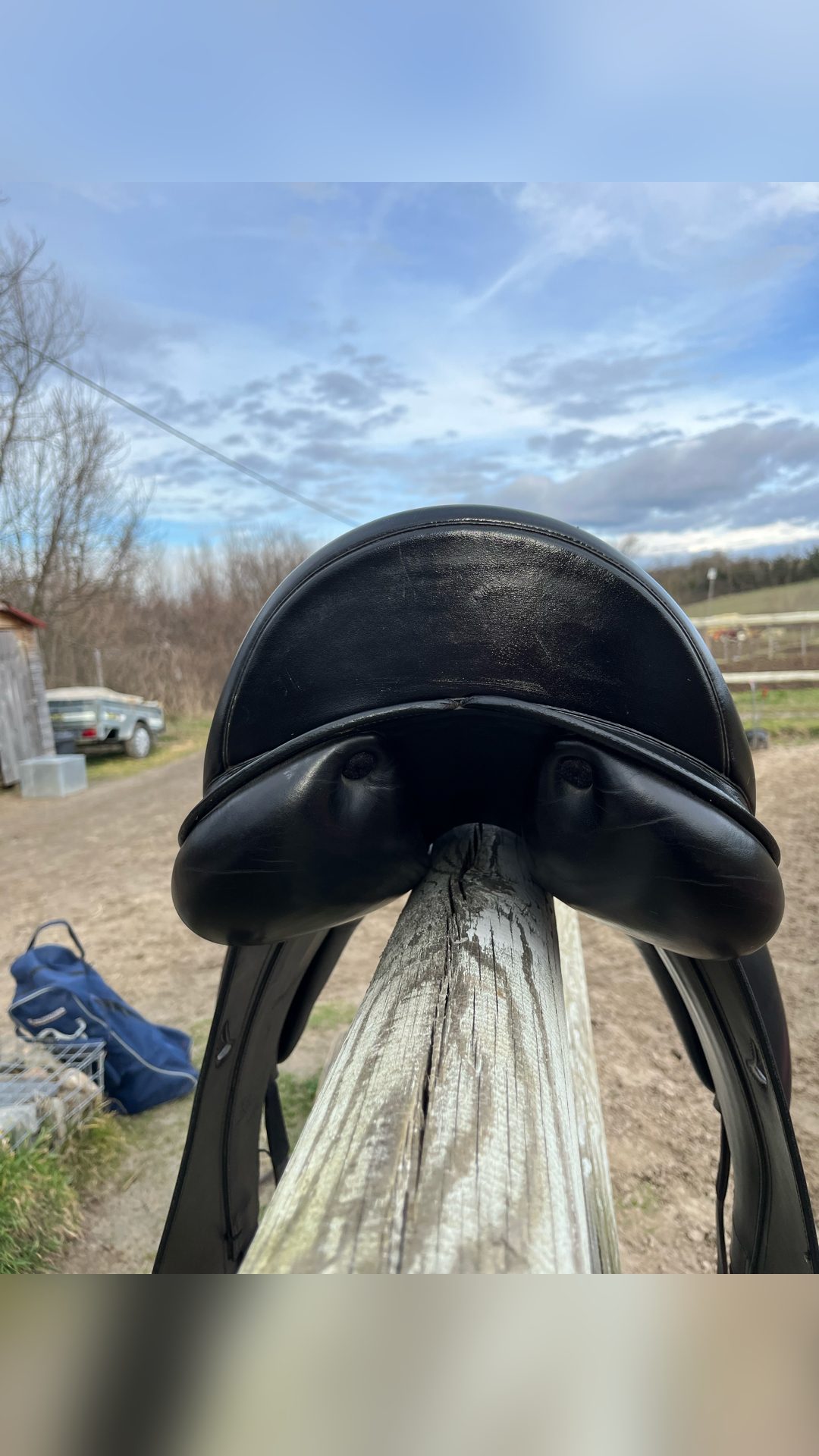Selle dressage Équipe, média 3