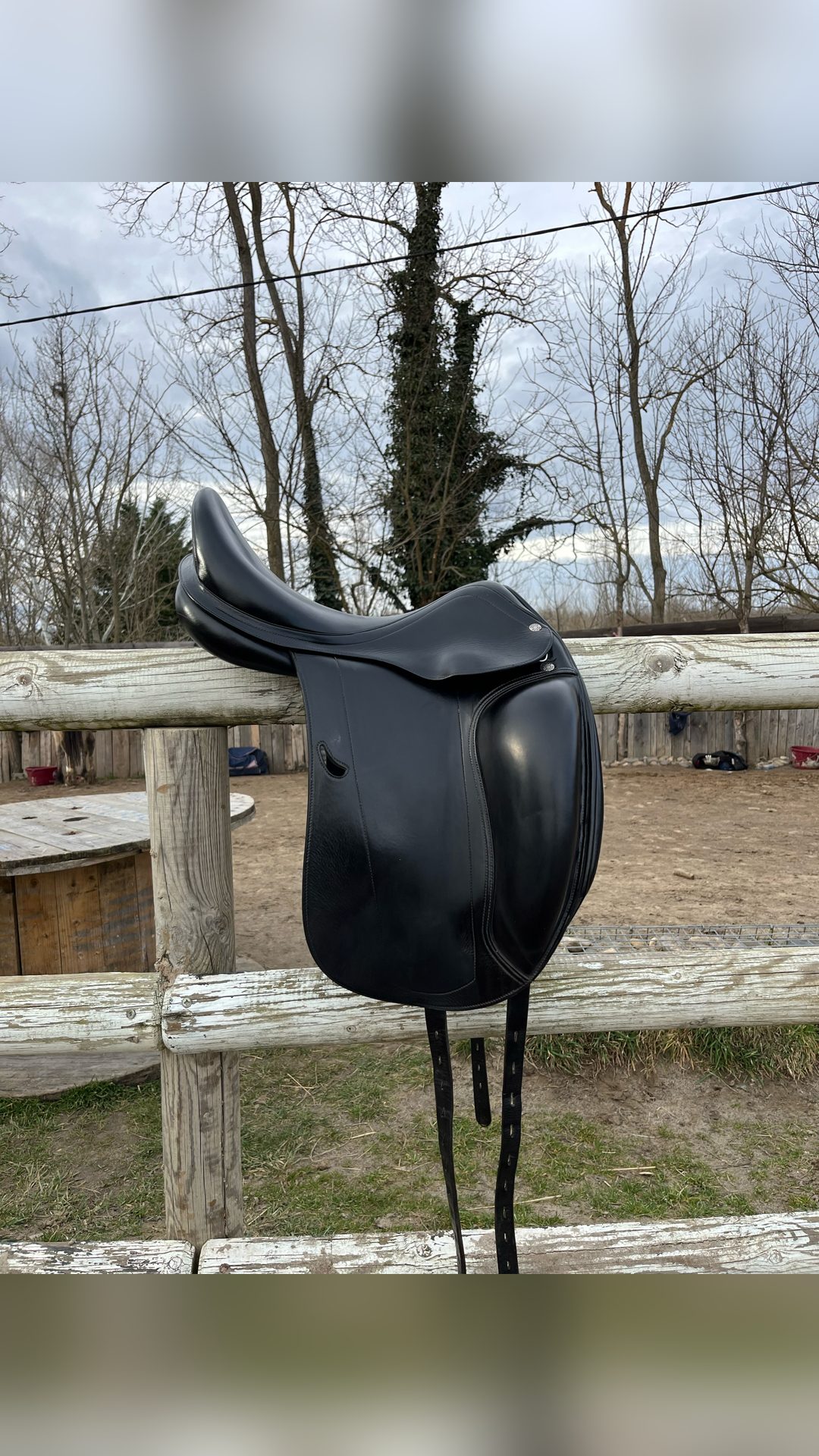 Selle dressage Équipe, média 6