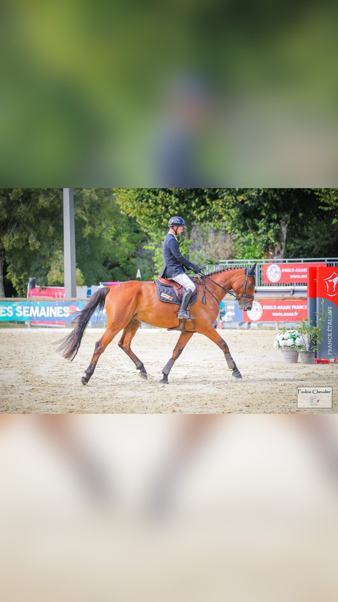 JOY D'AUSTRAL, média 4