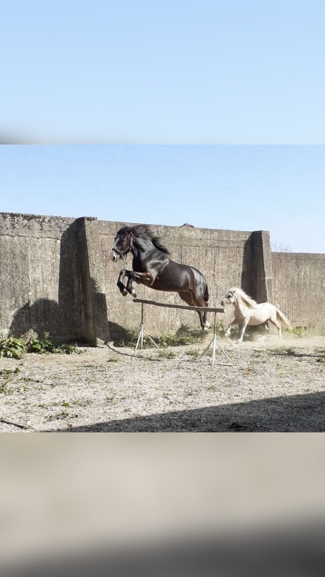 FAROUCK LA LOUVIERE, média 4