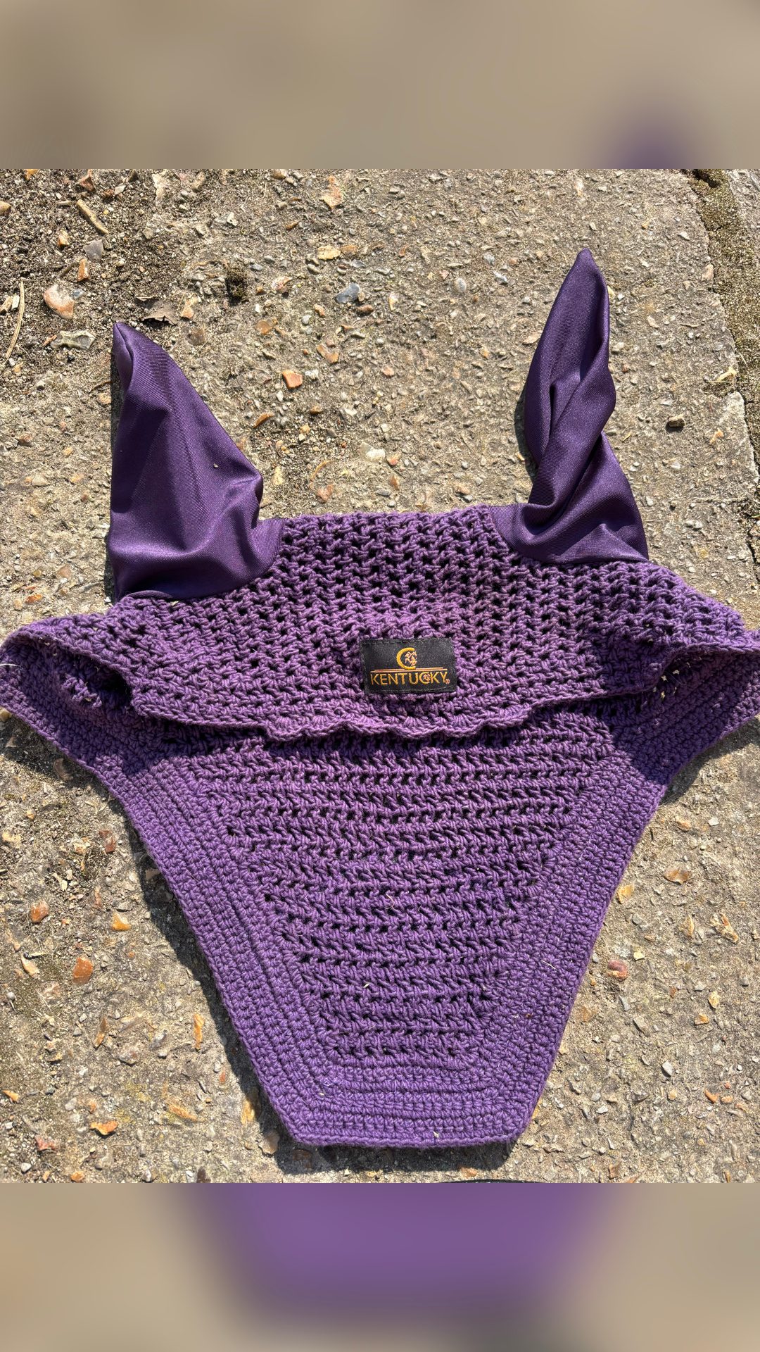 Bonnet velvet violet cheval, média 2