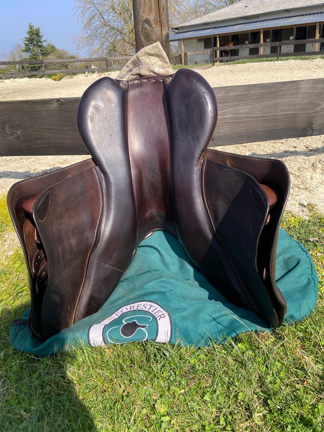 Selle forestier Séoul C 18pouces 2022, média 8