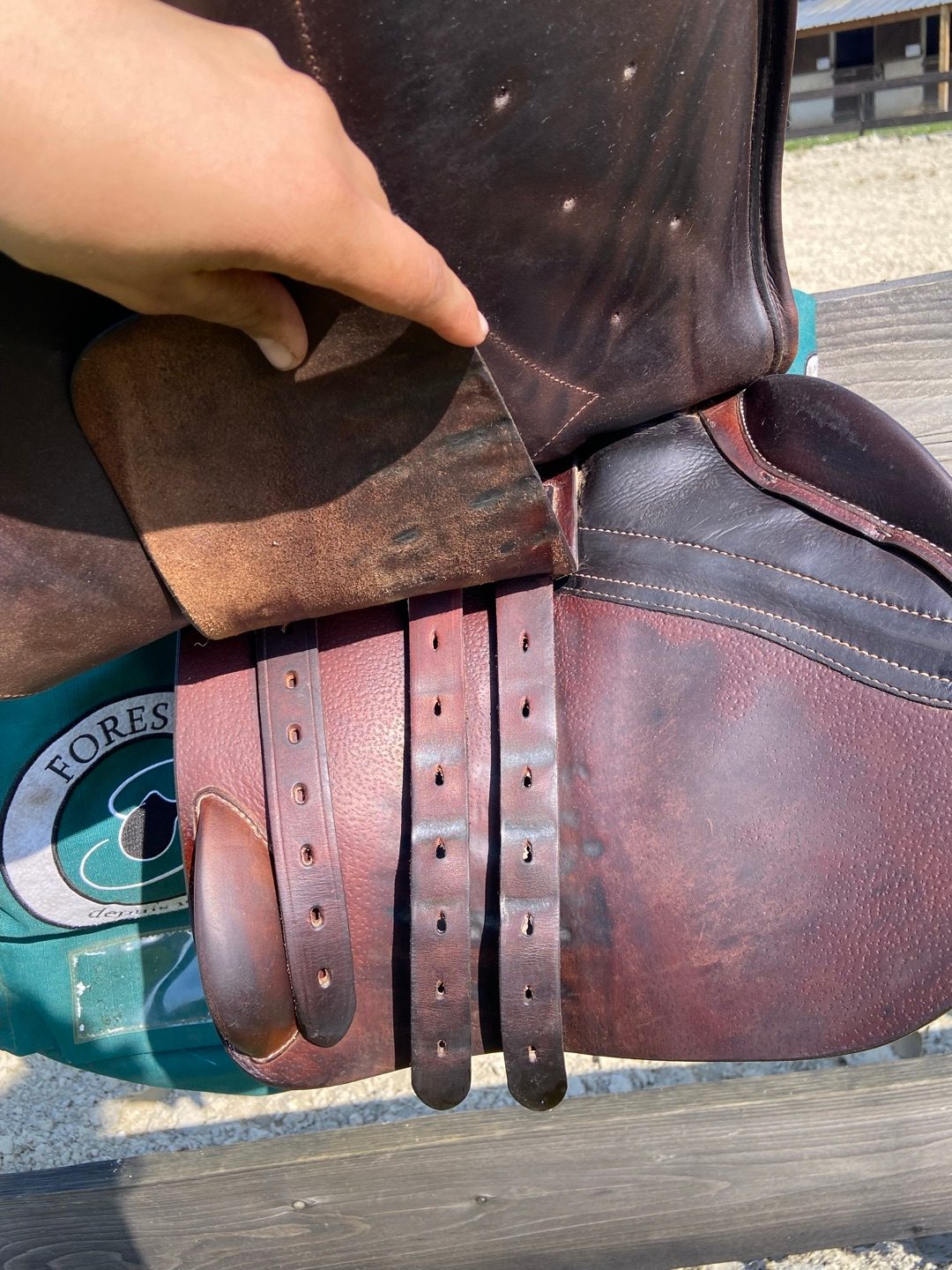 Selle forestier Séoul C 18pouces 2022, média 6