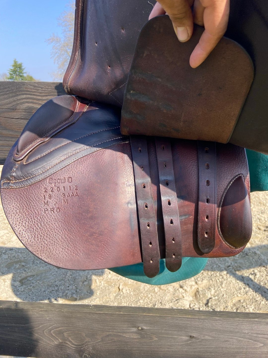 Selle forestier Séoul C 18pouces 2022, média 3