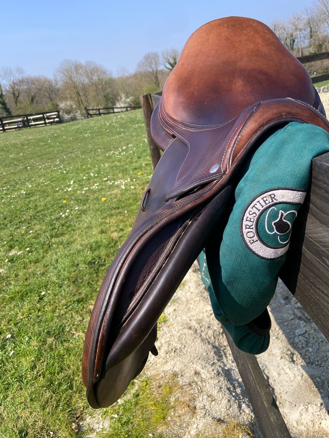 Selle forestier Séoul C 18pouces 2022, média 9